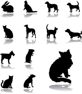 Set icons - 169. Pets