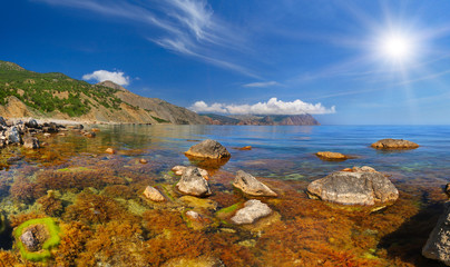 Colorful summer landscape with sea