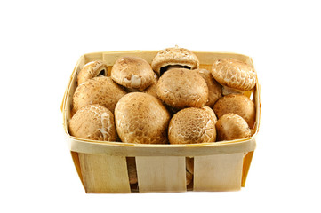 Champignons