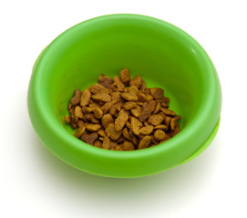 Green pet bowl with biscuits