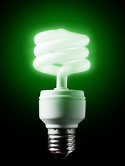 Energy-efficient  green bulb.