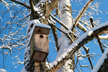 Nesting box