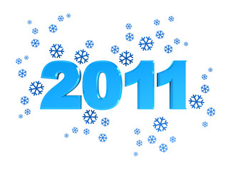 new 2011 year