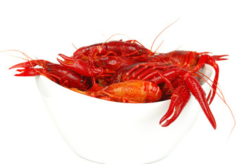 Crawfish in bawl