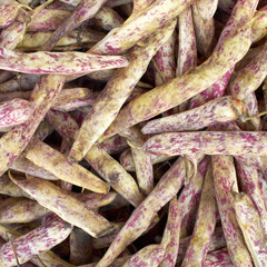 fresh red beans closeup at the local market