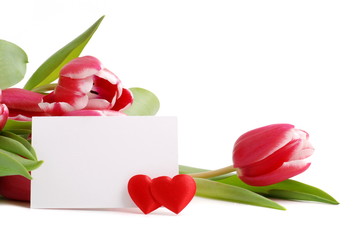 Valentinstag, tulpen