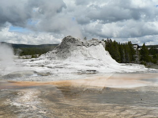 USA - Yellowstone NP-Castle Geysir 01