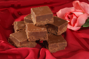 Fudge and a rose