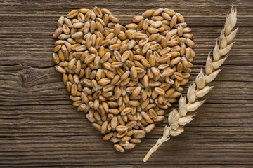 Wheat grain