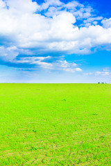 Scene Field Landscape