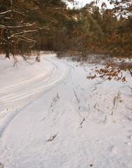 Winter in Poland - obrazy, fototapety, plakaty