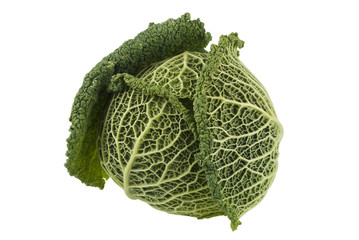 Kale Cabbage
