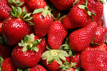 Fresh Strawberries