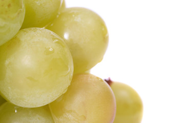 White grapes