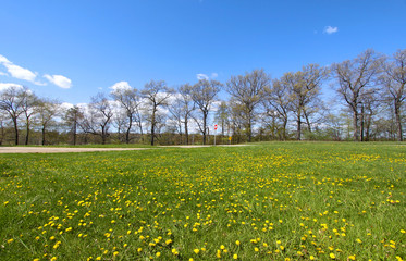 Scenic spring landscape