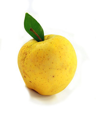 Yellow apple isolated on white background