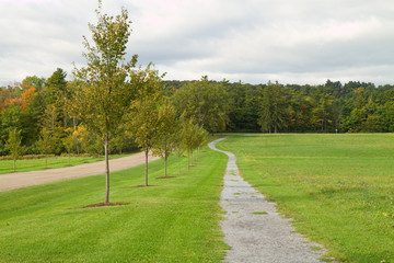 Fototapeta na wymiar path through green grass