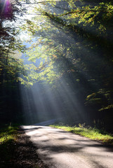 Obraz premium Herbststimmung