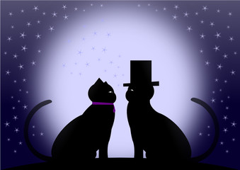 romantic cats at night