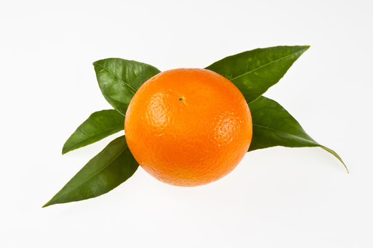 Orange mit Blättern, isoliert
