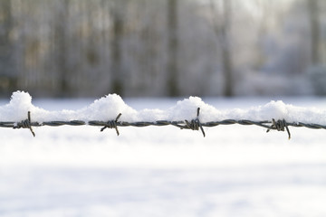 Snow covered barbed wire