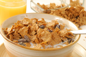 Closeup of a bowl of cereal