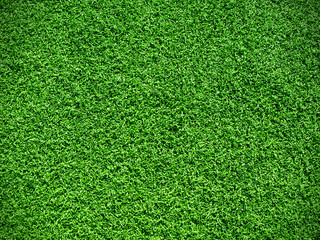 fake grass