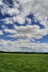 Wolken ziehen vor blauem Himmel &uuml;ber Fr&uuml;hlingswiese