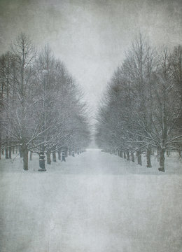 grunge image of winter landscape