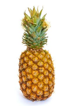 Ripe pineapple with Christmas decoration