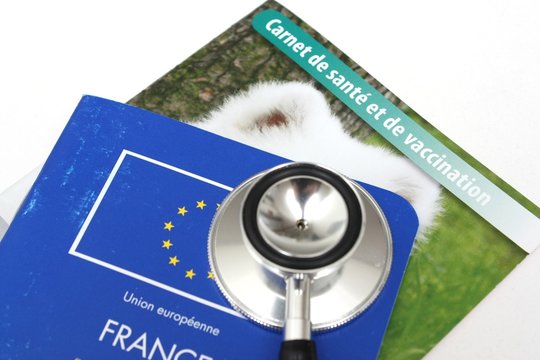 Carnet de sant&eacute;