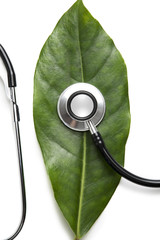 stethoscope on a leaf
