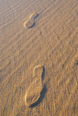 Fototapeta na wymiar footprints underwater in the sand
