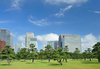Fotobehang Tokyo Skyline © haveseen