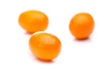 Drei Kumquats (Fortunella) auf weißem Hintergrund