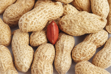 Closeup of red peanut kernel in bunch of whole shells