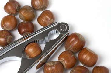 Hazel nuts with chrome nut crackers on white background