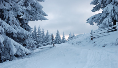 Fototapeta na wymiar Winter landscape in mountains