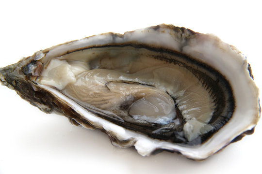 Huitres