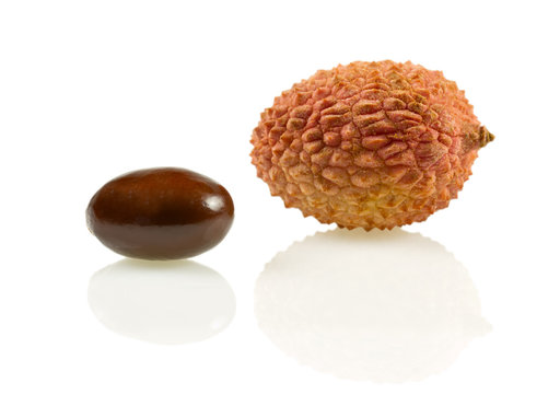 Isolated lychee (lat. Litchi chinensis) with pit