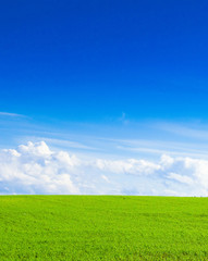 Fototapeta premium Forest Background Farm