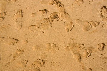 Spuren im Sand 2