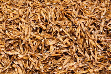 Dried small fishs