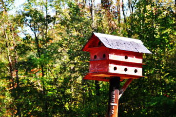 Old Wooden Birdhouse