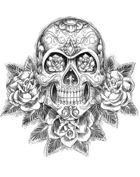Sketchy Skull with Roses