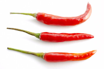 Perfectly fresh red hot peppers isolated on white.