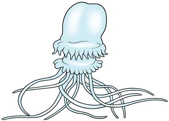 Big Jellyfish - colored cartoon illustration