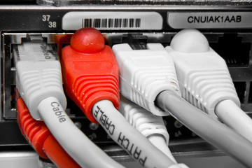 patch cables
