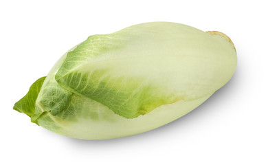 Isolated chicory. Bunch of fresh endive isolated on white background