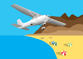 Petit avion survolant la plage tropicale
